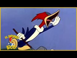El Pájaro Loco en Español, Morsa Vs El Pájaro Loco- NUEVA, Dibujos  Animados