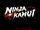 Ninja Kamui