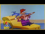 El Pájaro Loco Episodio Completo - Murciélagos en el campanario - Dibujos Animados - Caricaturas