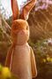 Conejo en El conejo de peluche.