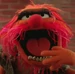 AnimalMuppetMoment
