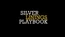 Silver-Linings-Playbook-logo