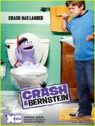 Crash & Bernstein doblada en Media Pro Com.