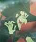 The-wicked-witch-of-the-west--5.29