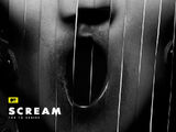 Scream (serie de TV)