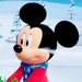Mickey Mouse - Minnie Toons, Hotel para mascotas