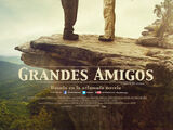 Grandes amigos (2015)