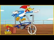 El Pájaro Loco en Español - 1 Hora de Compilación - Dibujos Animados en Español