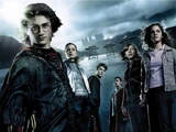 Harry Potter y el cáliz de fuego
