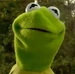 Kermit the Frog KSY