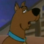Scooby-Doo SATRW