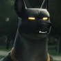 Anubis en DC Liga de Súper-Mascotas.