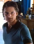 Steve Zahn in Forces of Nature