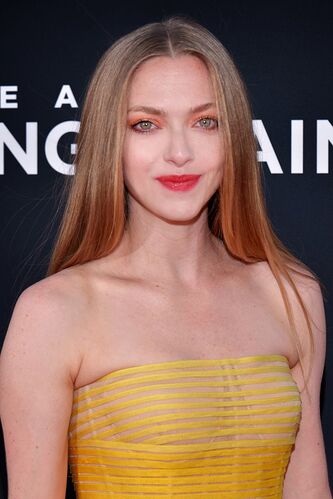 Amanda Seyfried 2019