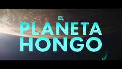 Vlcsnap-2024-12-21-23h11m06s623