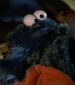 Cookie Monster