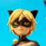 Cat Noir-TFD