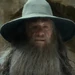 ELHBT1Gandalf