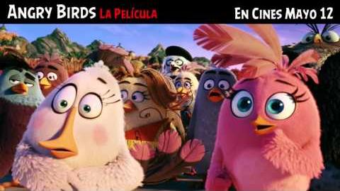 ANGRY BIRDS La Película (TEMPER TV SPOT) doblada a español