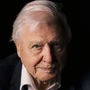 David Attenborough en Un asiento en la mesa.
