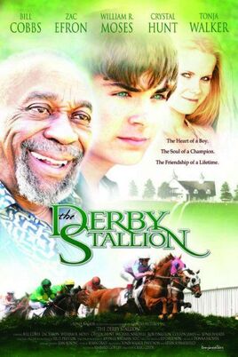 Derby stallion