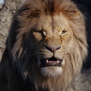 Mufasa en el live action de El Rey León.