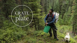 Cratetoplate