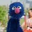 Grover-LaBúsquedadelaVaritaMágica