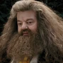 Rubeus Hagrid en la segunda y tercera entrega de Harry Potter.