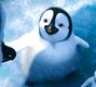 Bo en Happy Feet 2: El pingüino.