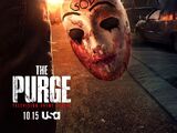 The Purge (serie)