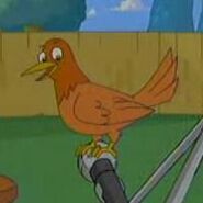 Pájaro también en Phineas y Ferb.