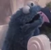 Cookie Monster TMTM