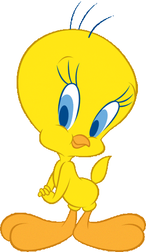 Piolin