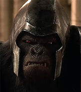 Gorila Grodd en el Universo Televisivo de DC Comics.