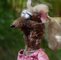 Yolanda, la rata también en Los Muppets.