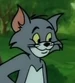 Tom - El nuevo show de Tom y Jerry