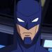 Batman-bruce-wayne-batman-unlimited-animal-instincts-1.9