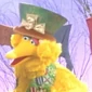 BigBird-Cinderelmo