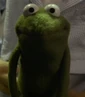 Robin-the-frog-muppets-most-wanted-5.01