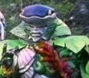 Typhus en Big Bad Beetleborgs