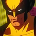 Wolverine X97