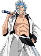 Grimmjow Jaegerjaquez en Bleach, otro de sus personajes más conocidos.