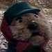 Emmet Otter (Emmet Otter's Jug-Band Christmas)