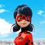 Ladybug-MRCLSLBDLM