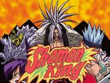 Shaman King