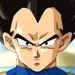 Vegeta4- DBS