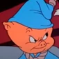 LooneyTunes0711Porky