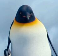 Seymour en Happy Feet 2: El pingüino.