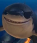 Shark-dive-olly-dive-and-the-pirate-treasure-4.75